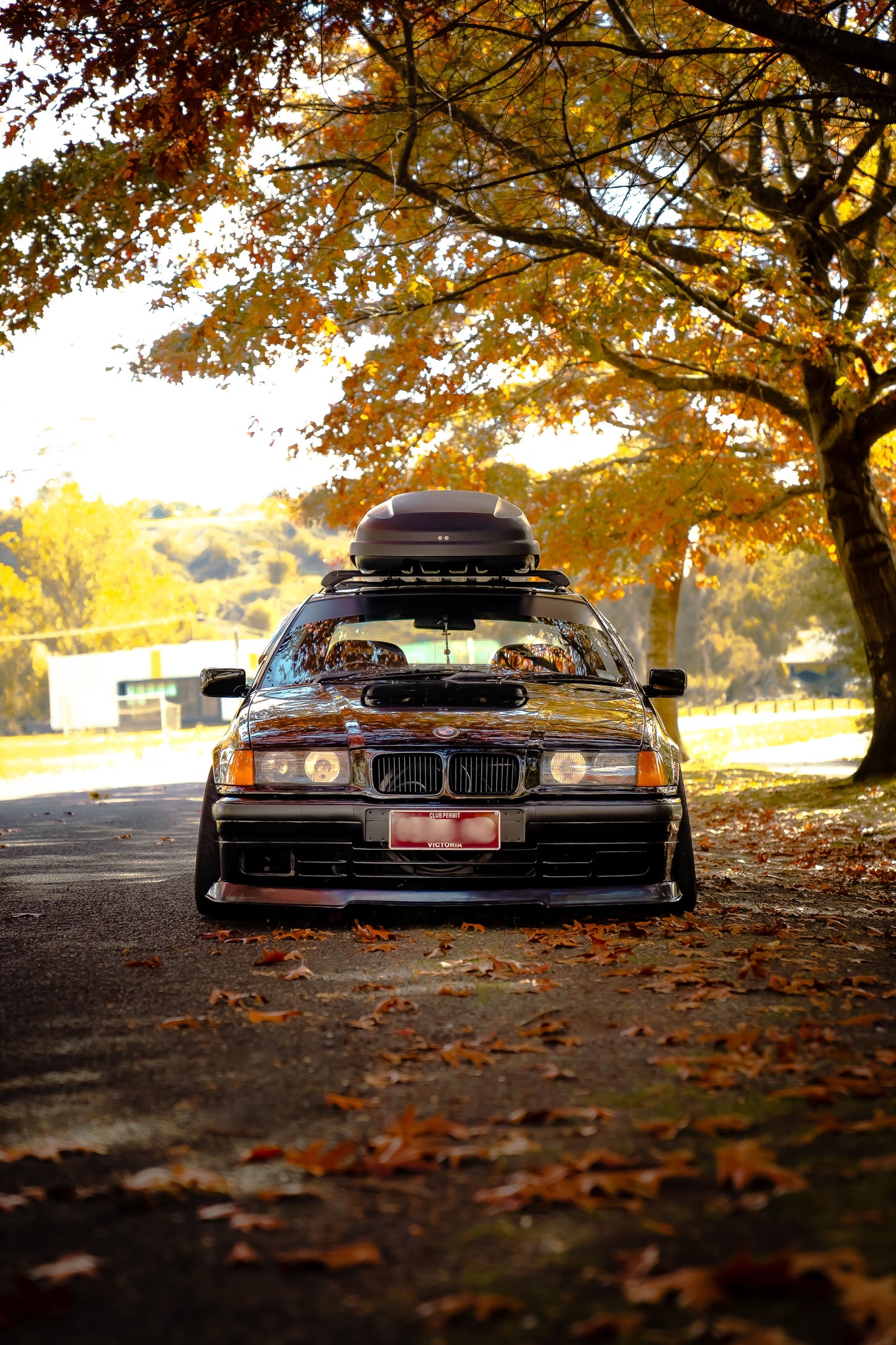Rieger style front lip - E36 standard bumper